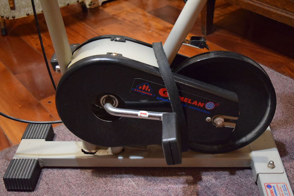 Miniatura: Bicicleta Fija