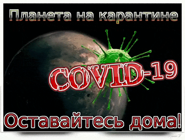 карант.gif