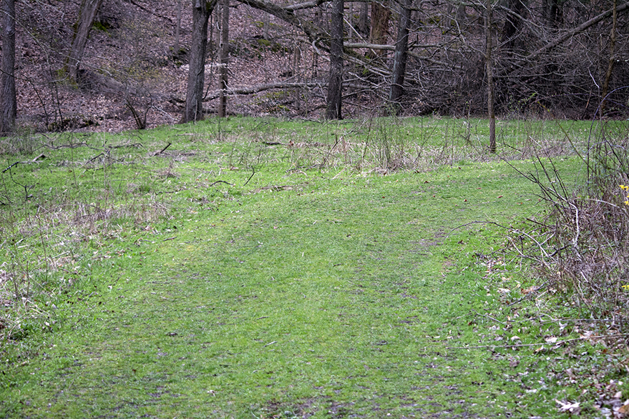 Boch Hollow State Nature Preserve