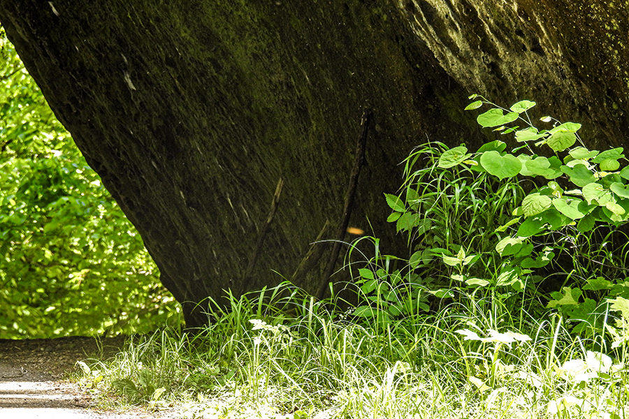 Leaning Rock at Clear Creek Metro Park aka Witches Rock and Leaning Lena