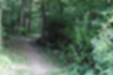 Hiking Trail at Dillon State Park Campground in Nashport Ohio