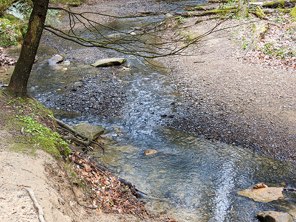 Rockstall Nature Preserve Logan Ohio Hiking Trail over Creek