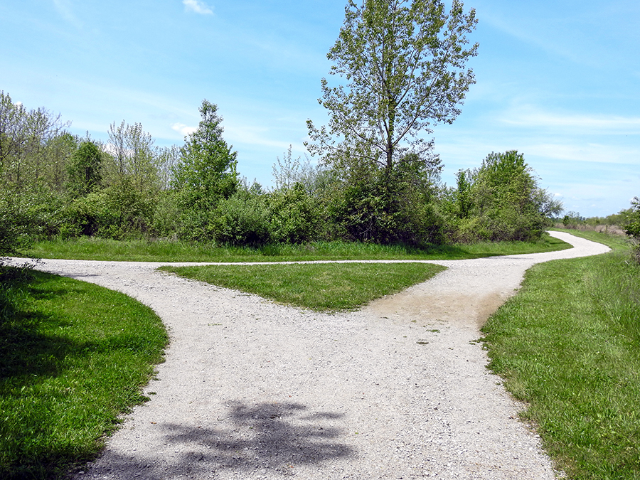 Killdeer Trail and Yellowlegs Trail Split at Pickeringon Ponds Metro Park