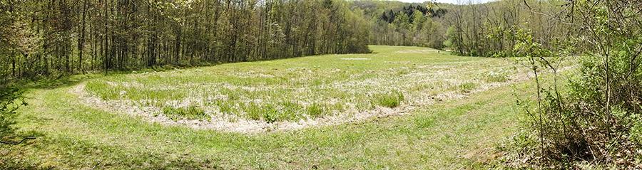 Clear Creek Metro Park - Prairie Warbler Trail and E.E. Good Prairie Loop Rockbridge Ohio Hiking Trail