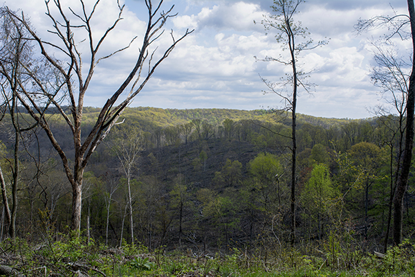 Scioto Trail State Park Chillicothe Ohio