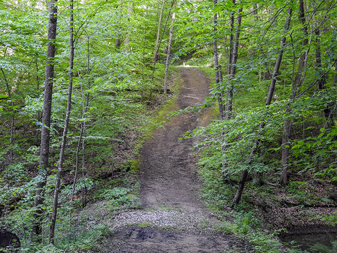Natural Hiking Trail at Charles F. Alley Memorial Park aka Alley Park Lancaster Ohio