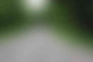 Shady campsites at Caesar Creek State Park Campground in Wilmington Ohio