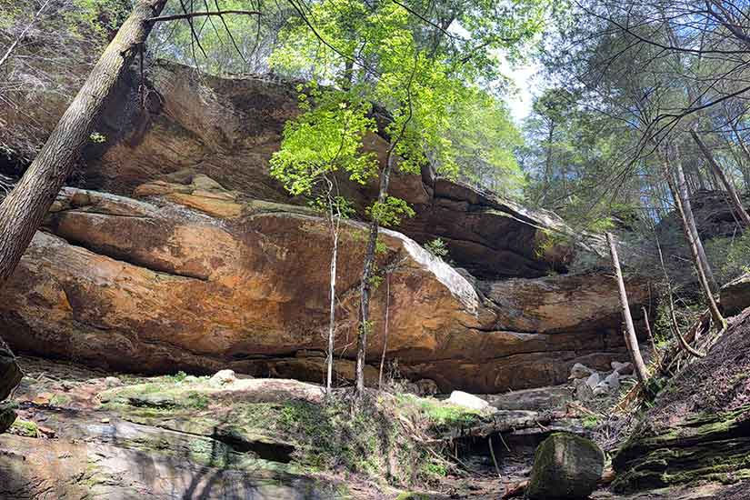 Sunlight filtering through tall trees along a rocky hillside near Chapel Cave in Hocking Hills with layered sandstone cliffs in the background.