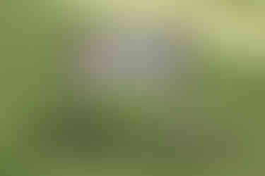 Dillon State Park Skydeck at Dillon State Park Campground in Nashport Ohio