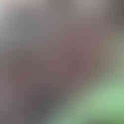 Mushroom Fungus at Lake Hope State Park McArthur Ohio