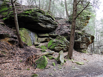Rockstall Nature Preserve Logan Ohio Rock Outcropping
