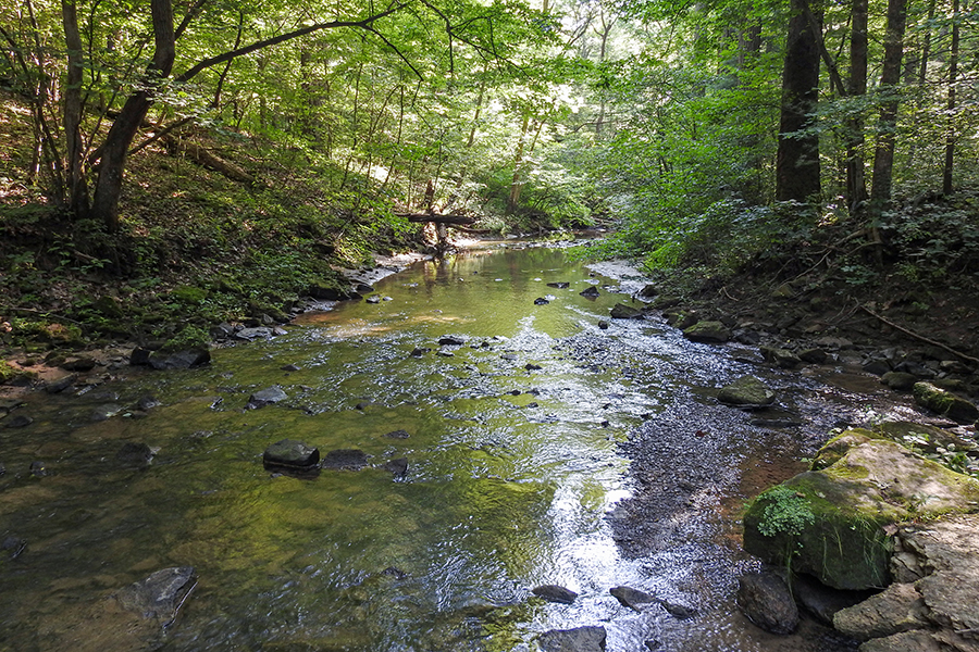 Arney Run Creek at Christmas Rocks State Nature Preserve Charles R. Goslin Nature Sanctuary Ohio Department of Natural Resources Division of Natural Areas and Preserves