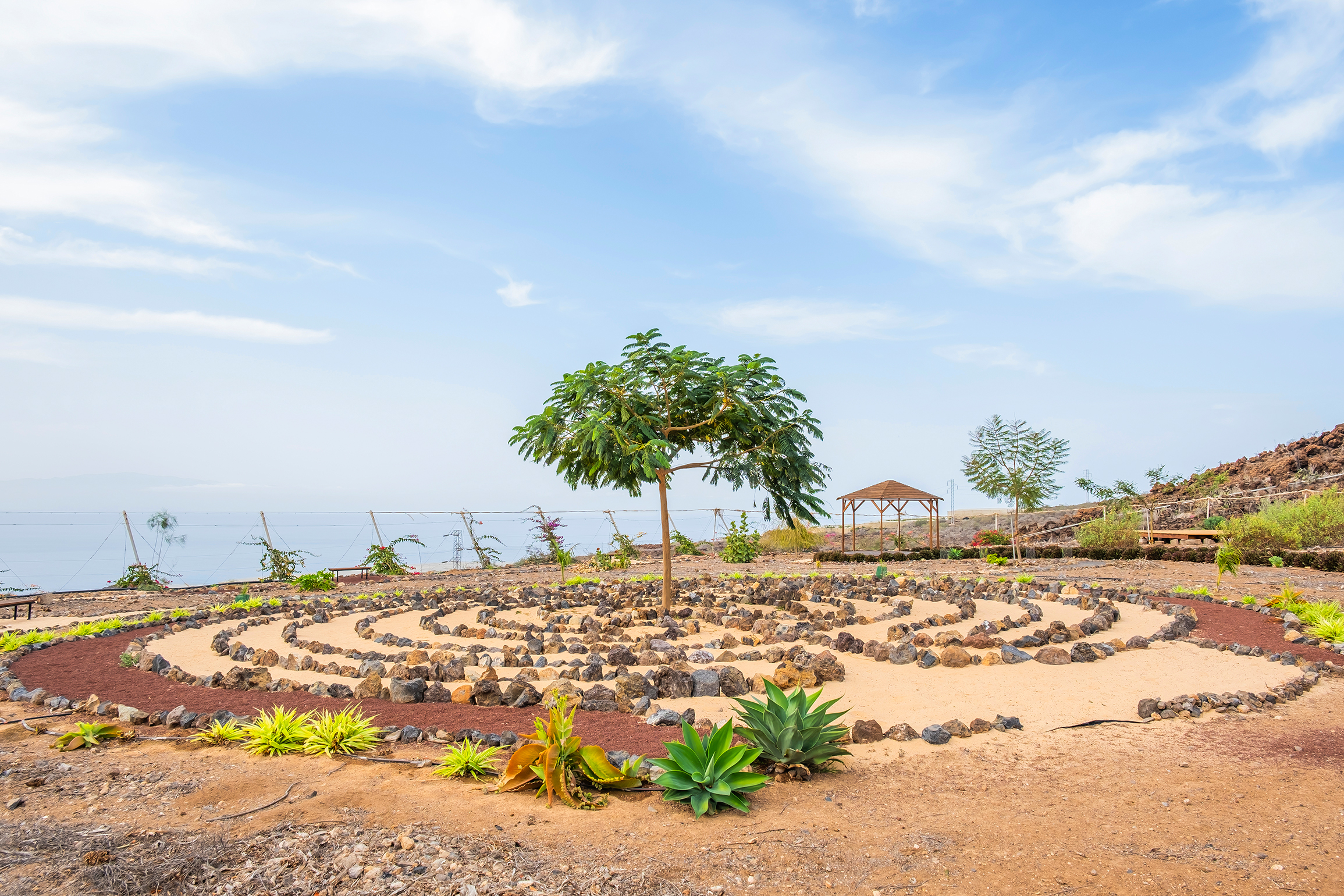 5 Day Unique Meditation Tour in Tenerife, Spain 8