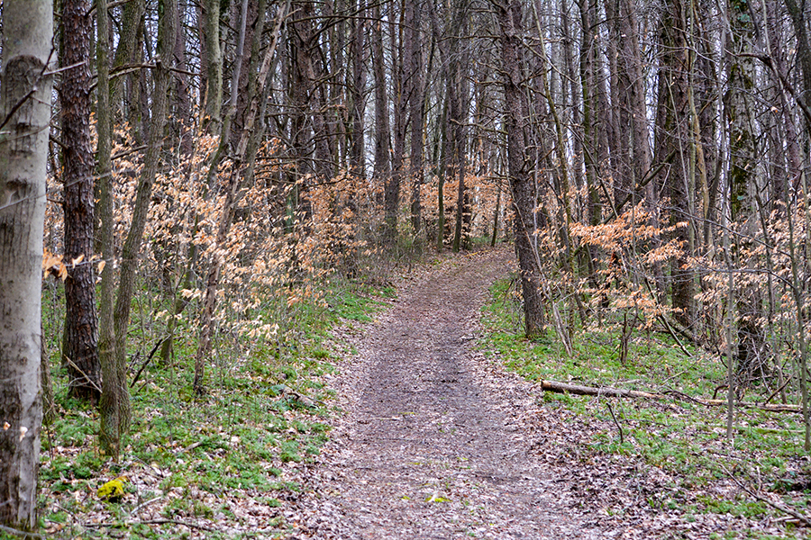 Buckeye Trail at Boch Hollow State Nature Preserve