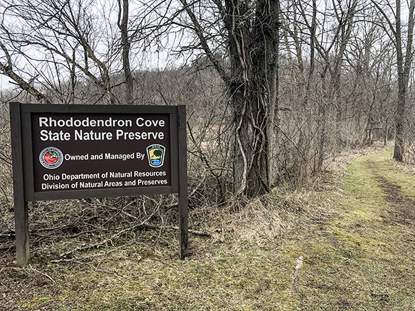 Rhododendron Cove State Nature Preserve Lancaster Ohio