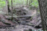 Hiking Trail at Dillon State Park Campground in Nashport Ohio