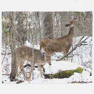 White tailed deer standing in snowy woodland printed on a soft fleece blanket
