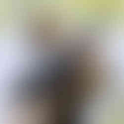 Painted turtle on a log in the water at Punderson State Park surrounded by algae and reflections.