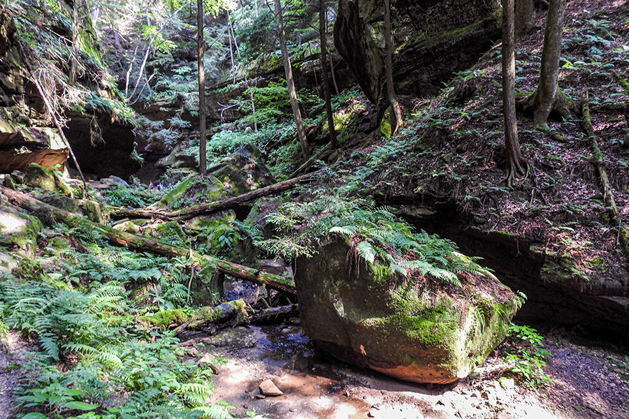 Conkles Hollow State Nature Preserve in the Hocking Hills Rockbridge Ohio