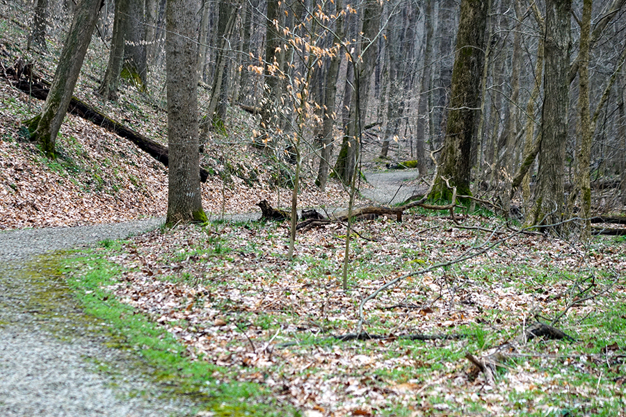 North Trailhead at Boch Hollow State Nature Preserve