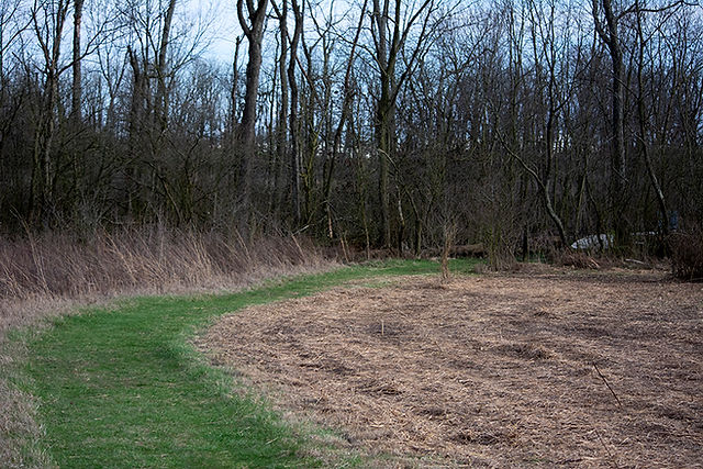 Calamus Swamp Preserve A Columbus Audubon Preserve Circleville Ohio
