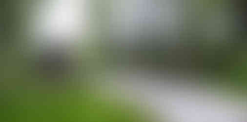 The County Bridge at Pickerington Ponds Metro Park Yellowlegs Trail