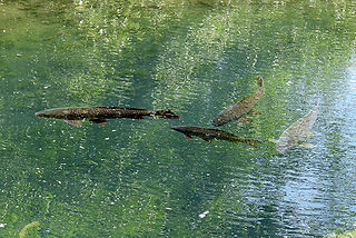 Fishing at Ariel-Foundation Park in Mount Vernon Ohio