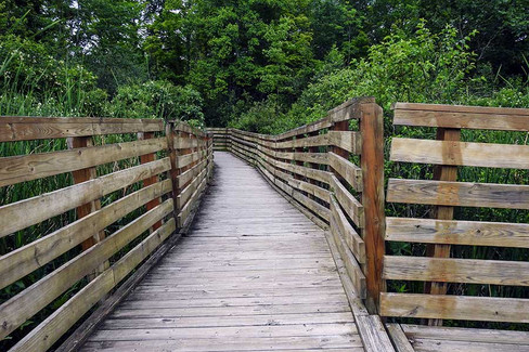 Wooden boardwalk with railings winds through lush greenery at Punderson State Park.