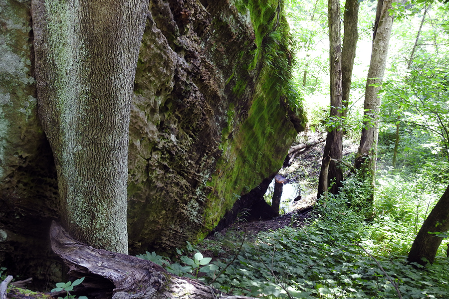 Leaning Rock at Clear Creek Metro Park aka Witches Rock and Leaning Lena