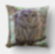 Barred Owl Throw Pillow