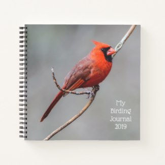 Northern Cardinal Perched on Limb Journal for Bird Watching