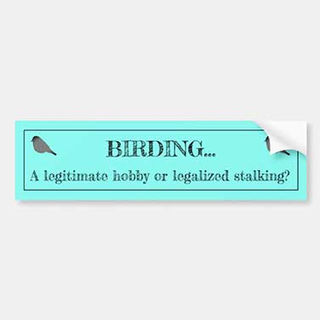 Light blue bumper sticker with a bird silhouette and the text ‘Birding… A legitimate hobby or legalized stalking?’