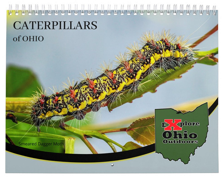 Ohio Caterpillars Calendar Explore Ohio Outdoors