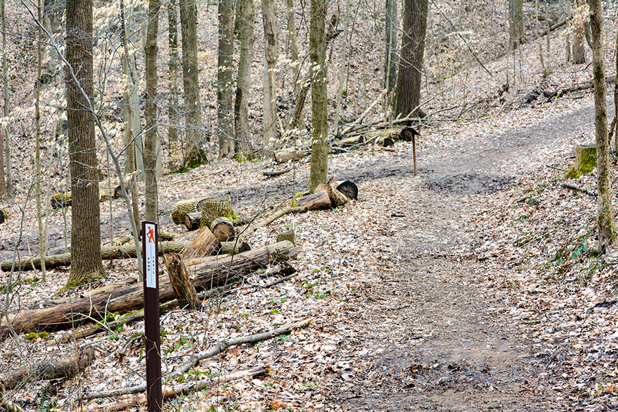 Pond Trail leading into Buckeye Trail at Boch Hollow State Nature Preserve