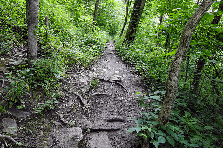 Gorge Loop Trail in Caesar Creek Gorge Park in Waynesville Ohio