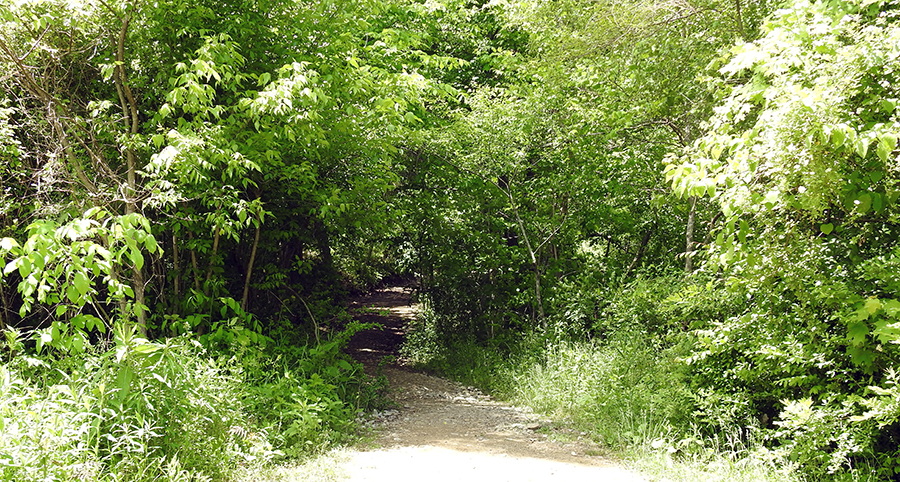 Cemetery Ridge Trail at Clear Creek Metro Park