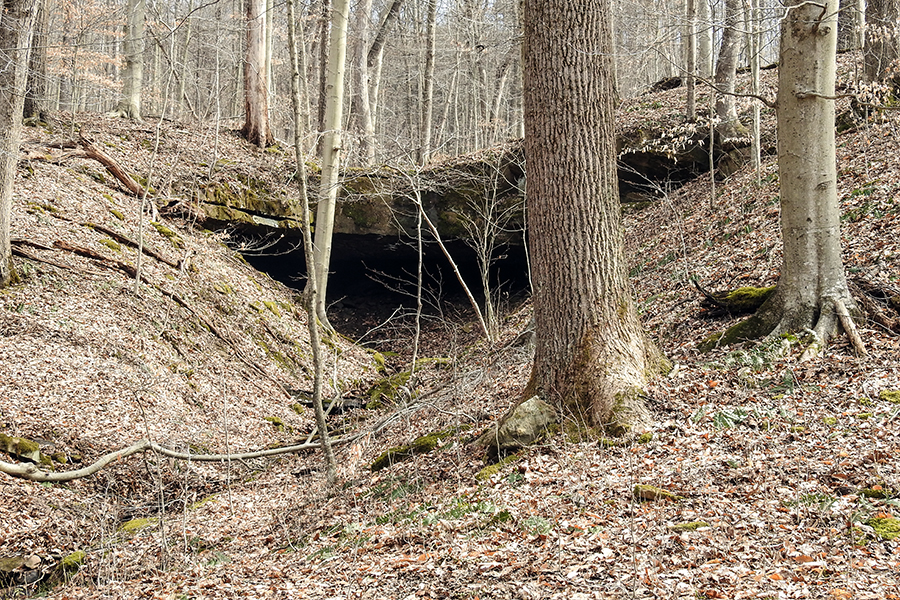 Boch Hollow State Nature Preserve 7793 Bremen Road Logan Ohio