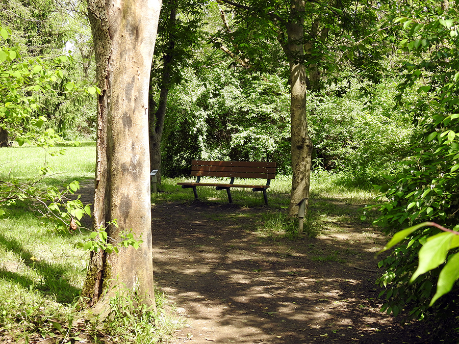 Sycamore Creek Park Arboretum
