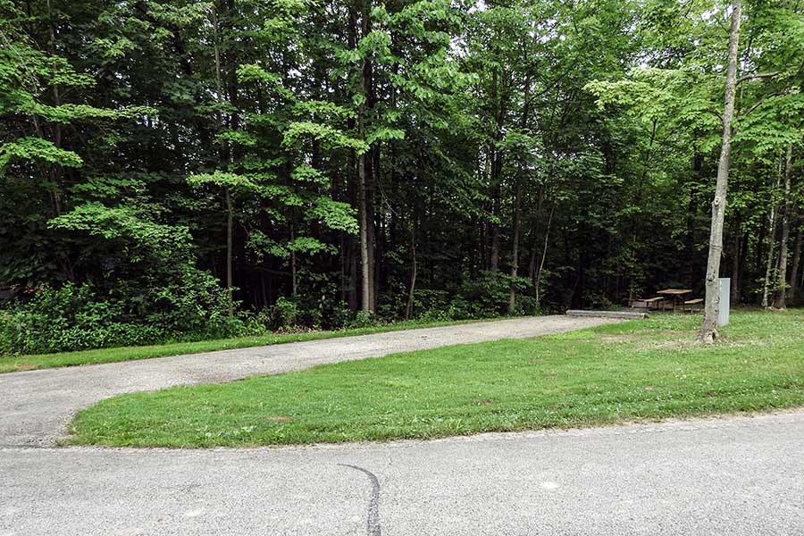 Paved campsite with grassy area and picnic table by the woods at Punderson State Park.