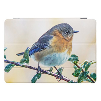 Home Office Supplies iPad Smart Cover Eastern Bluebird