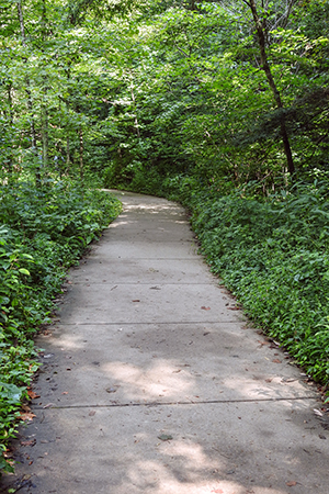 Conkles Hollow State Nature Preserve Hocking Hills Rockbridge Ohio