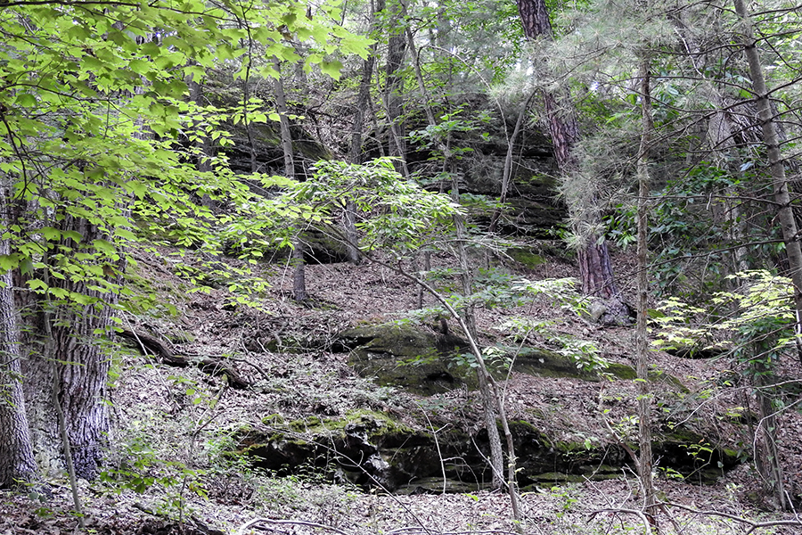 Rock Outcroppings and Cliff Face at Christmas Rocks State Nature Preserve Charles R. Goslin Nature Sanctuary Ohio Department of Natural Resources Division of Natural Areas and Preserves