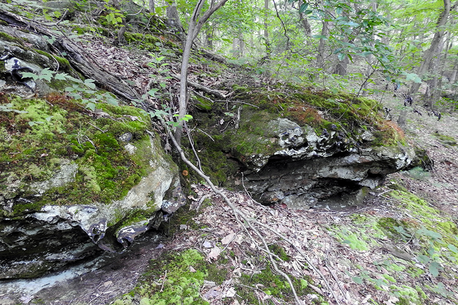Rock Outcroppings at Christmas Rocks State Nature Preserve Charles R. Goslin Nature Sanctuary Ohio Department of Natural Resources Division of Natural Areas and Preserves