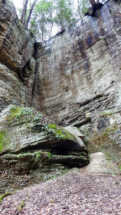 Cantwell Cliffs Hocking Hills State Park Rockbridge Ohio Hiking Trails