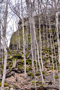 Shallenberger State Nature Preserve Blackhand Sandstone