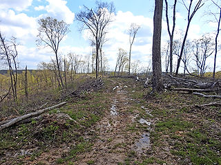 Firetower Trail at Scioto Trail State Park Chillicothe Ohio