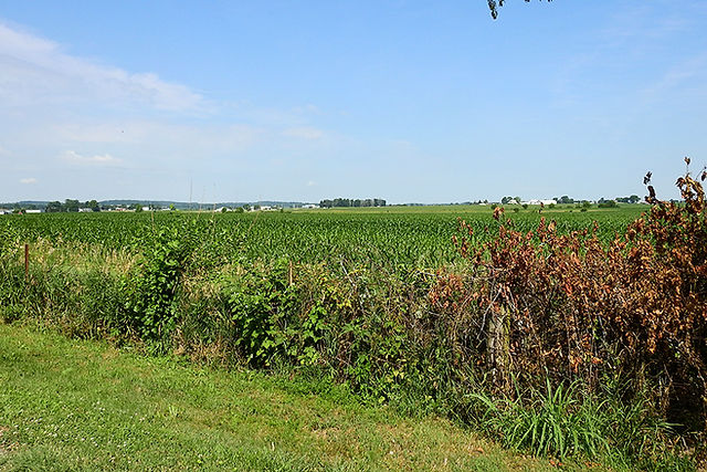 Farm Field next to John's Trail in Amanda hio