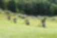 Archery Range at Dillon State Park Campground in Nashport Ohio