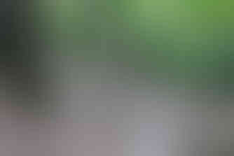 Blue Trail at Christmas Rocks State Nature Preserve Charles R. Goslin Nature Sanctuary Ohio Department of Natural Resources Division of Natural Areas and Preserves