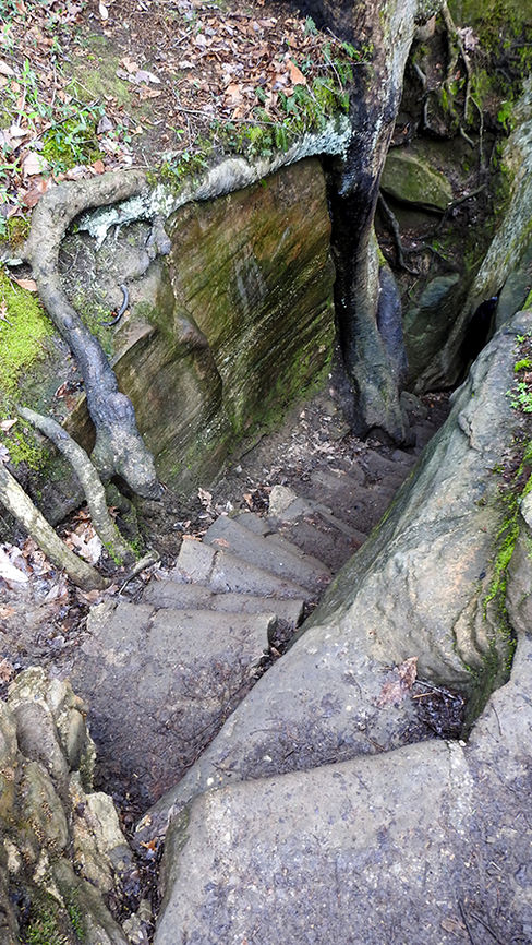 Cantwell Cliffs Hocking Hills State Park Rockbridge Ohio Hiking Trails